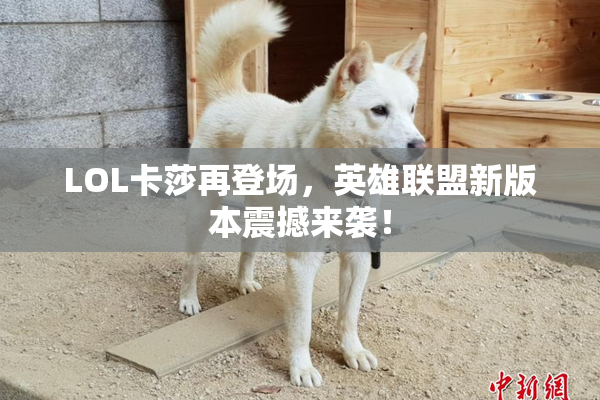 LOL卡莎再登场，英雄联盟新版本震撼来袭！