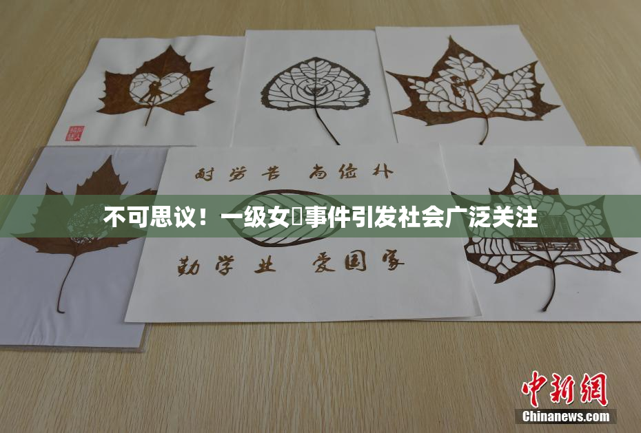 不可思议！一级女婬事件引发社会广泛关注