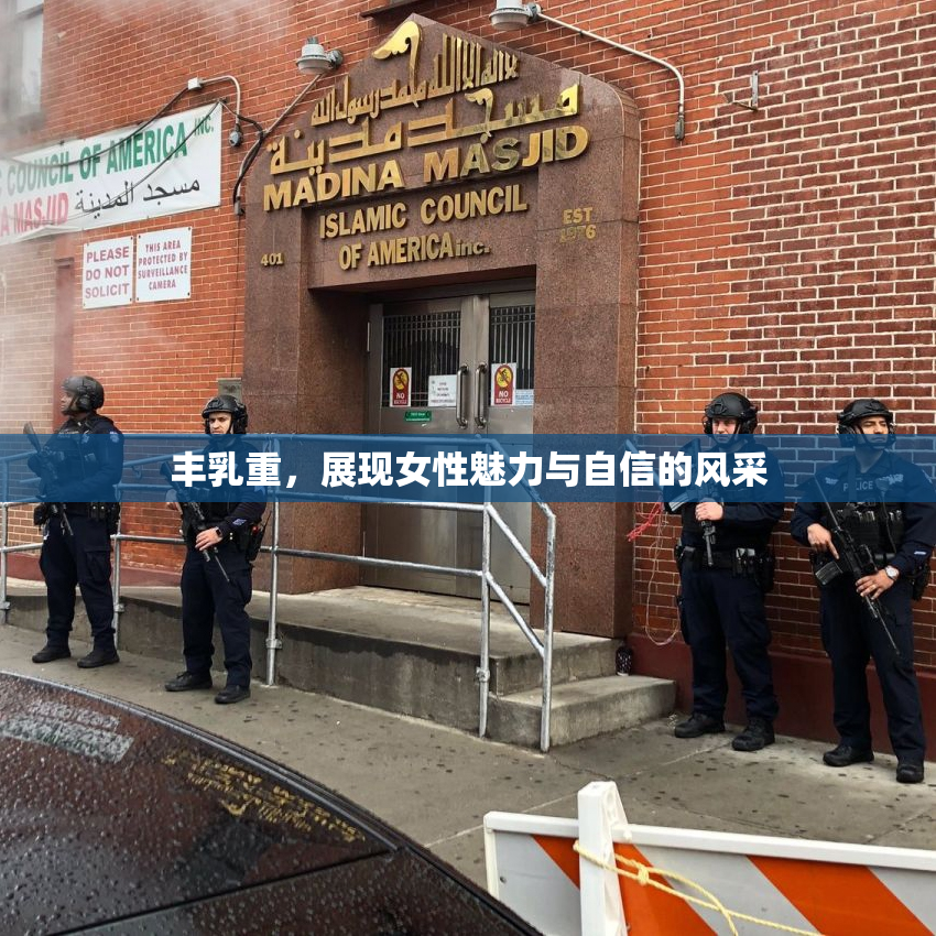 丰乳重，展现女性魅力与自信的风采