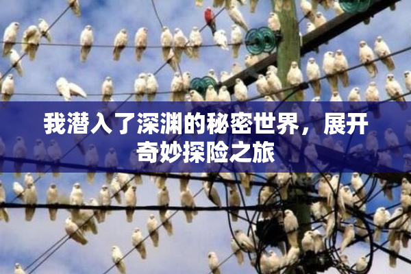 我潜入了深渊的秘密世界，展开奇妙探险之旅