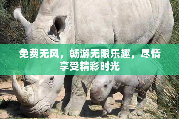 免费无风，畅游无限乐趣，尽情享受精彩时光