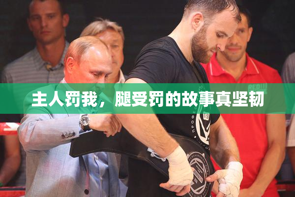 主人罚我，腿受罚的故事真坚韧