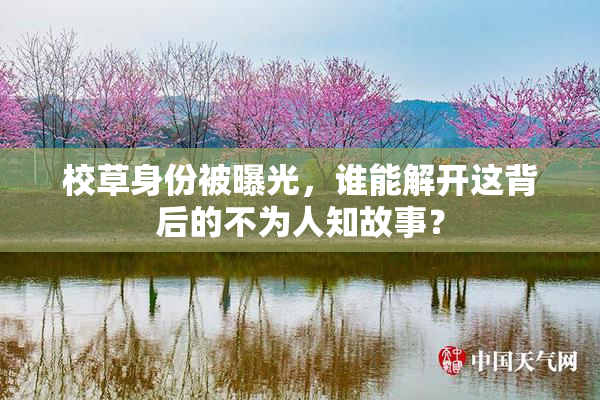 校草身份被曝光，谁能解开这背后的不为人知故事？