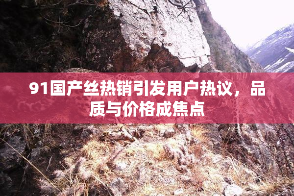 91国产丝热销引发用户热议，品质与价格成焦点