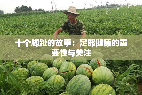 十个脚趾的故事：足部健康的重要性与关注