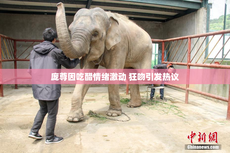 庞尊因吃醋情绪激动 狂吻引发热议