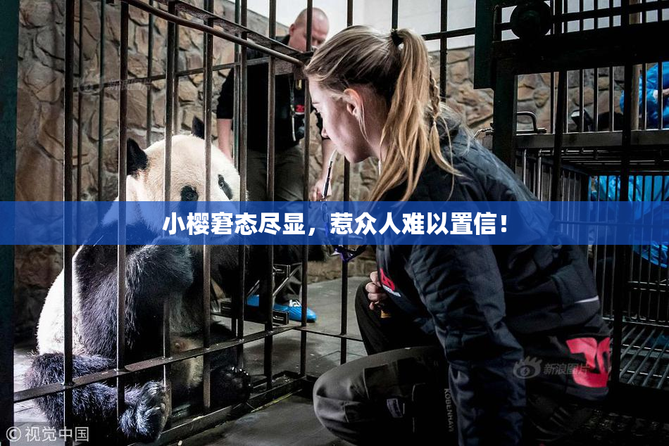 小樱窘态尽显，惹众人难以置信！