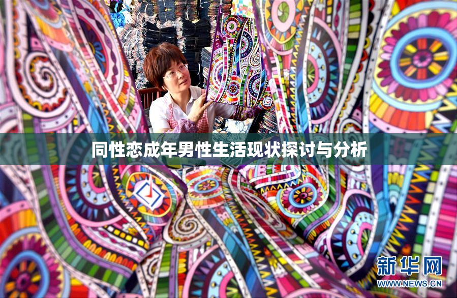 同性恋成年男性生活现状探讨与分析