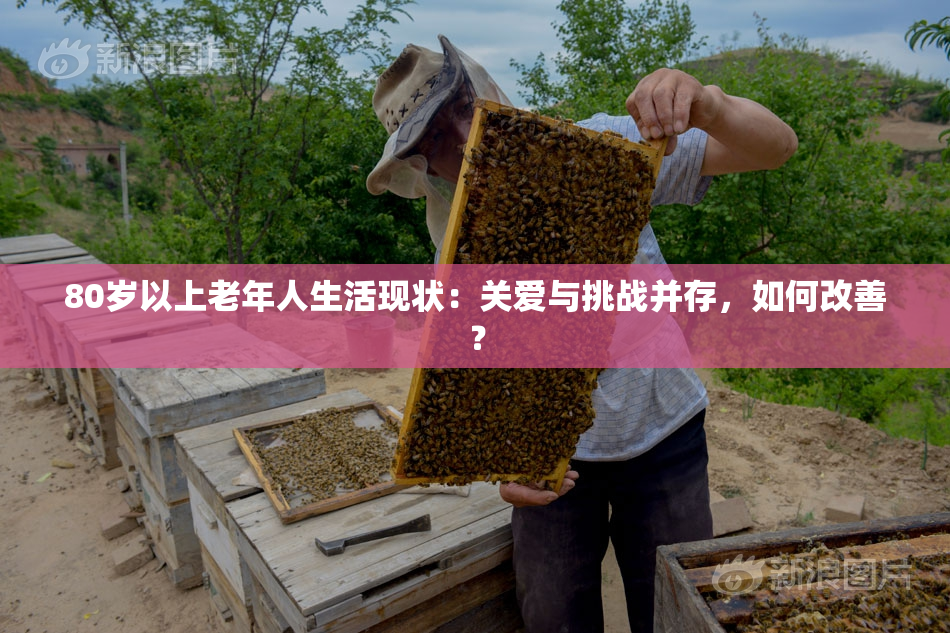 80岁以上老年人生活现状：关爱与挑战并存，如何改善？