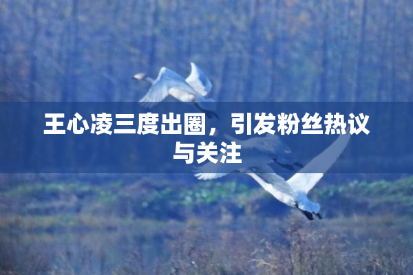 王心凌三度出圈，引发粉丝热议与关注