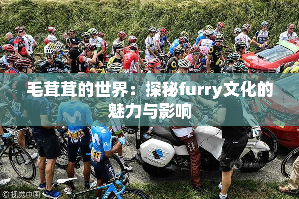 毛茸茸的世界：探秘furry文化的魅力与影响