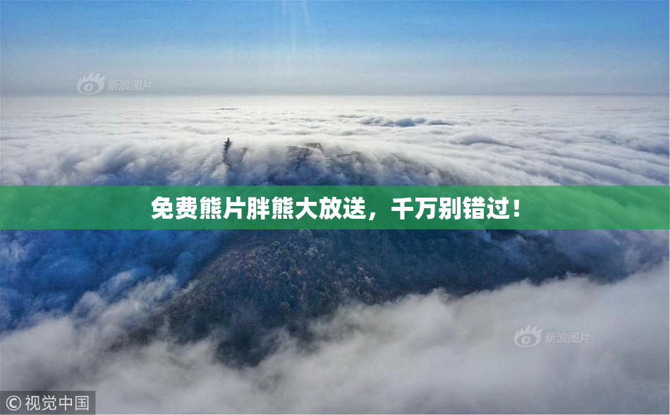 免费熊片胖熊大放送，千万别错过！