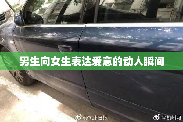 男生向女生表达爱意的动人瞬间