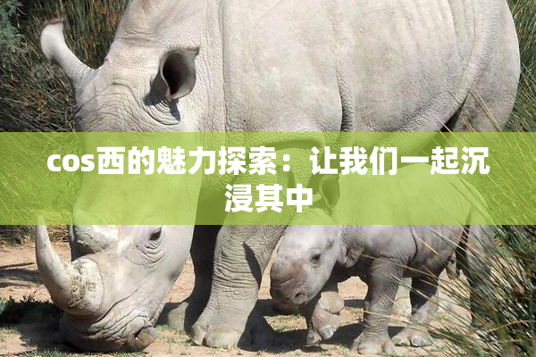 cos西的魅力探索：让我们一起沉浸其中