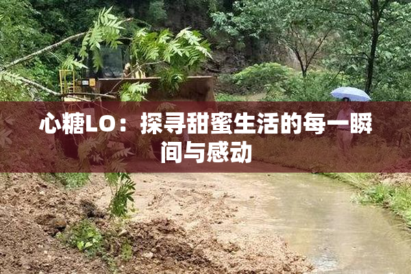 心糖LO：探寻甜蜜生活的每一瞬间与感动