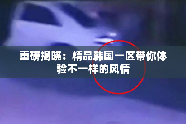 重磅揭晓：精品韩国一区带你体验不一样的风情
