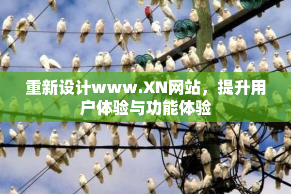 重新设计www.XN网站，提升用户体验与功能体验