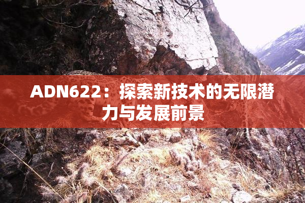 ADN622：探索新技术的无限潜力与发展前景