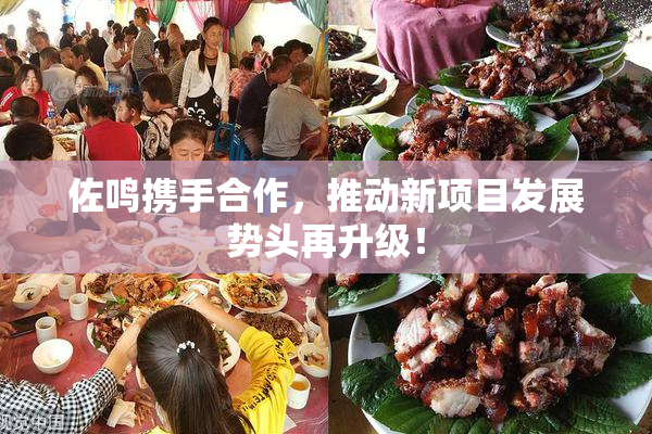 佐鸣携手合作，推动新项目发展势头再升级！