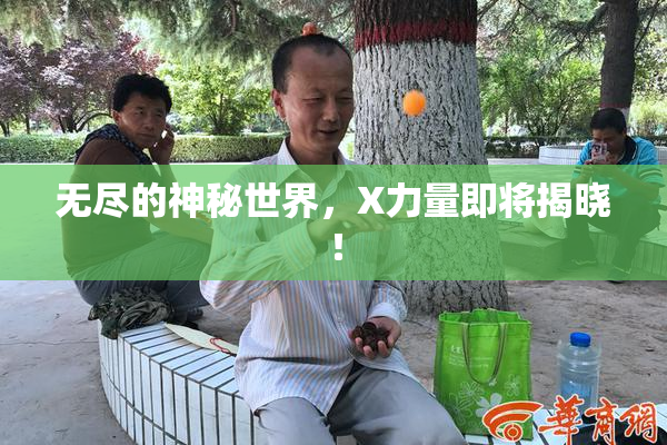 无尽的神秘世界，X力量即将揭晓！