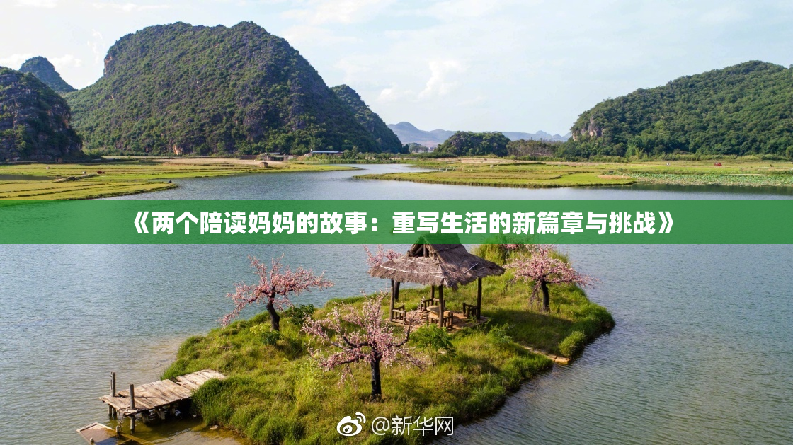 《两个陪读妈妈的故事：重写生活的新篇章与挑战》