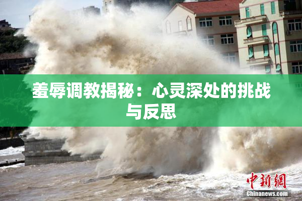 羞辱调教揭秘：心灵深处的挑战与反思
