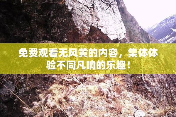 免费观看无风黄的内容，集体体验不同凡响的乐趣！