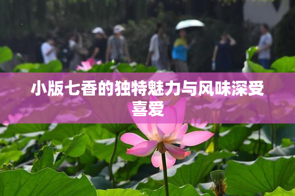 小版七香的独特魅力与风味深受喜爱