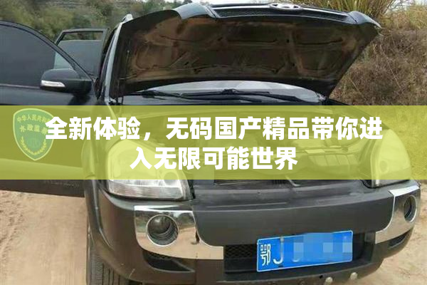 全新体验，无码国产精品带你进入无限可能世界