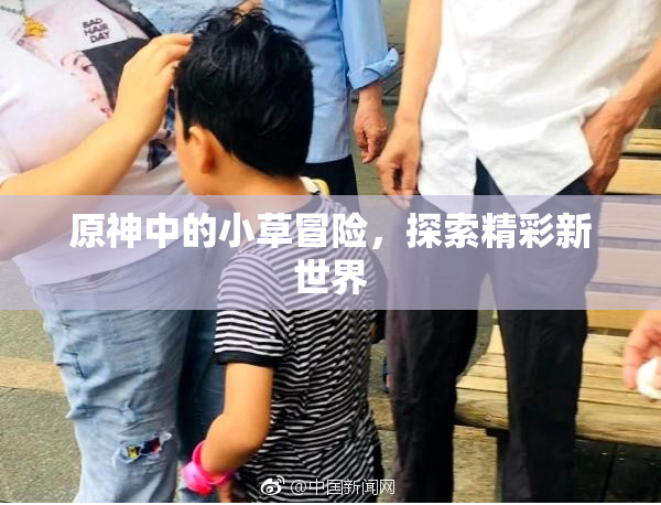 原神中的小草冒险，探索精彩新世界