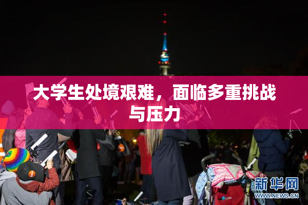 大学生处境艰难，面临多重挑战与压力