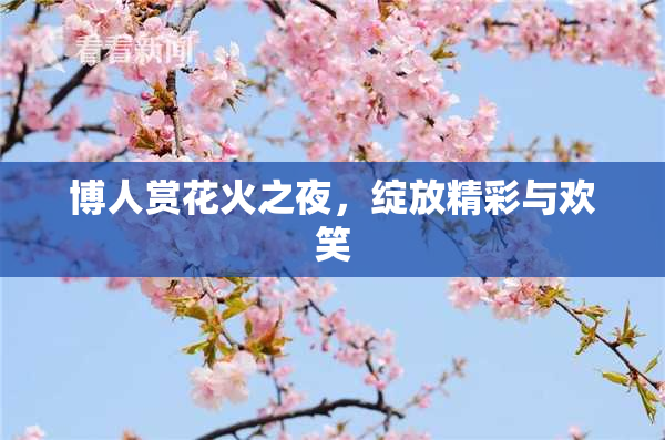 博人赏花火之夜，绽放精彩与欢笑