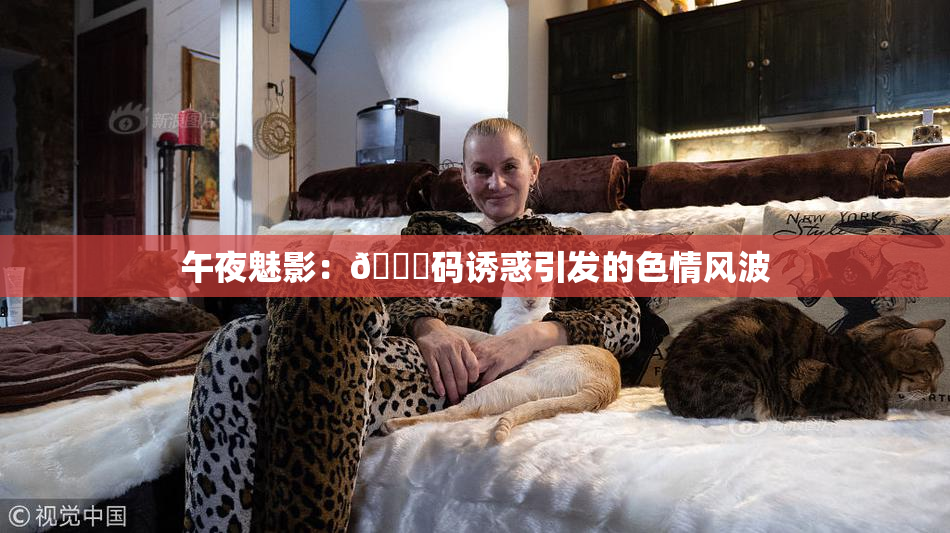 午夜魅影：🈚码诱惑引发的色情风波