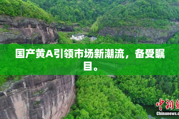 国产黄A引领市场新潮流，备受瞩目。