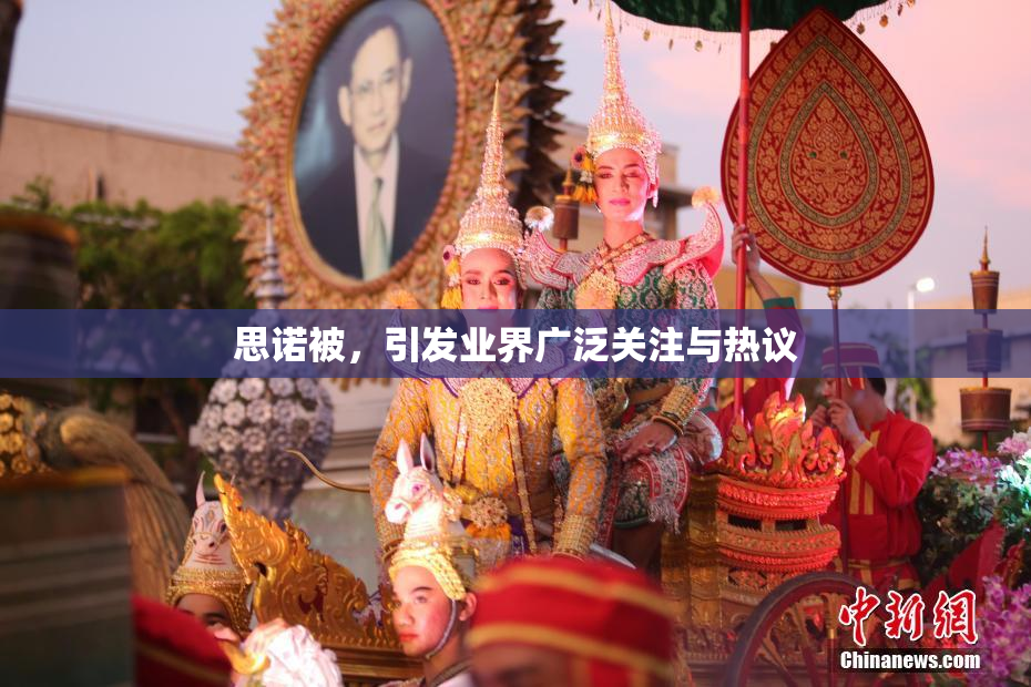 思诺被，引发业界广泛关注与热议