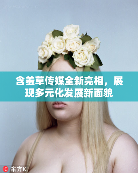 含羞草传媒全新亮相，展现多元化发展新面貌