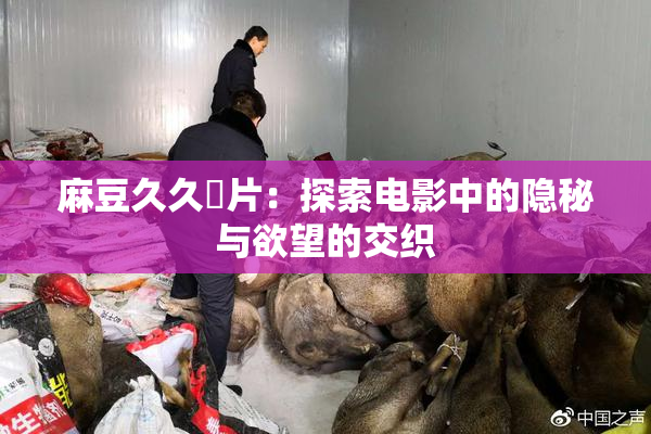 麻豆久久婬片：探索电影中的隐秘与欲望的交织