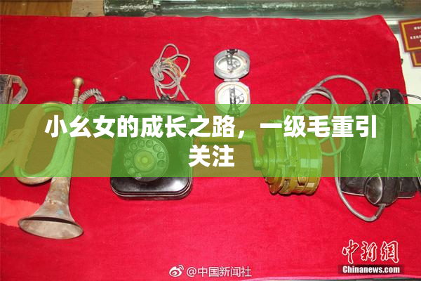 小幺女的成长之路，一级毛重引关注