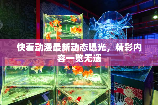 快看动漫最新动态曝光，精彩内容一览无遗