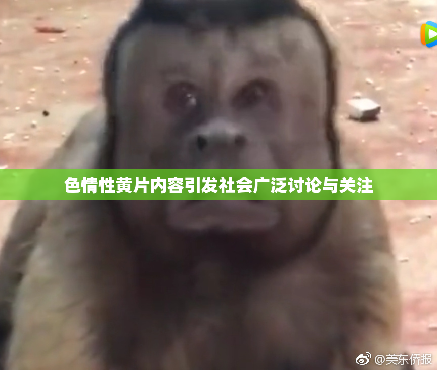 色情性黄片内容引发社会广泛讨论与关注