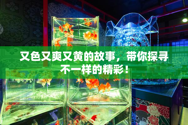 又色又爽又黄的故事，带你探寻不一样的精彩！