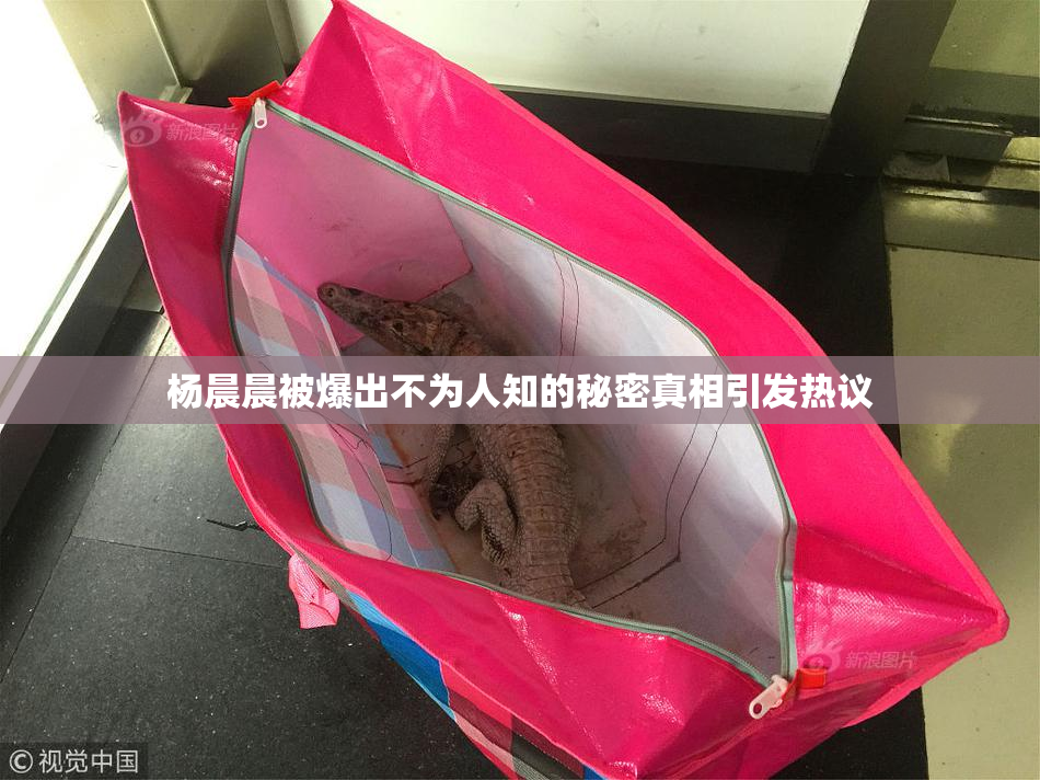杨晨晨被爆出不为人知的秘密真相引发热议