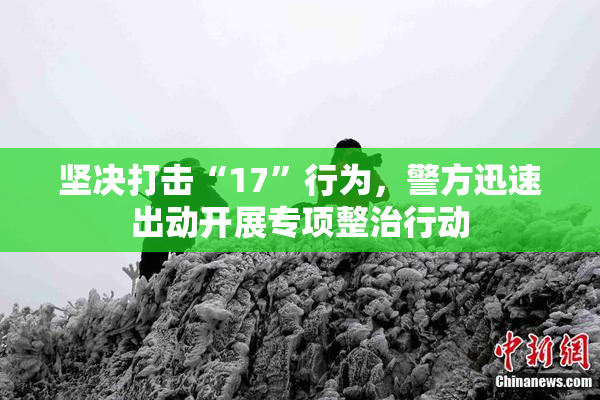 坚决打击“17”行为，警方迅速出动开展专项整治行动