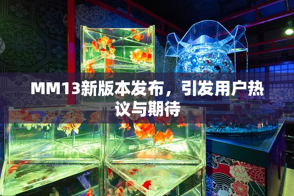 MM13新版本发布，引发用户热议与期待