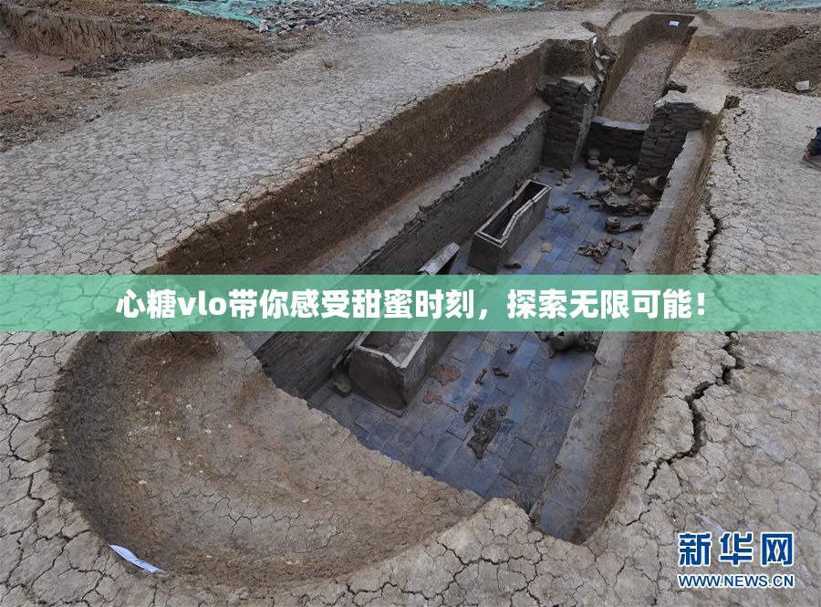 心糖vlo带你感受甜蜜时刻，探索无限可能！