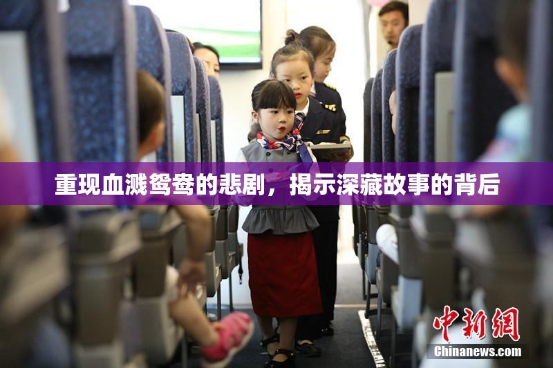 重现血溅鸳鸯的悲剧，揭示深藏故事的背后