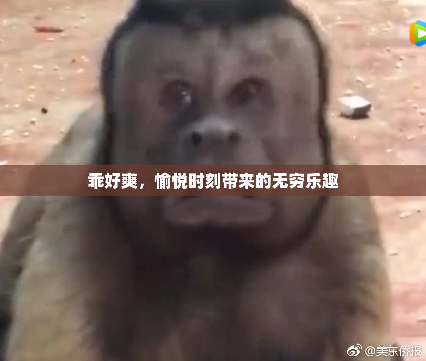 乖好爽，愉悦时刻带来的无穷乐趣