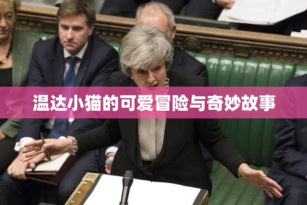 温达小猫的可爱冒险与奇妙故事