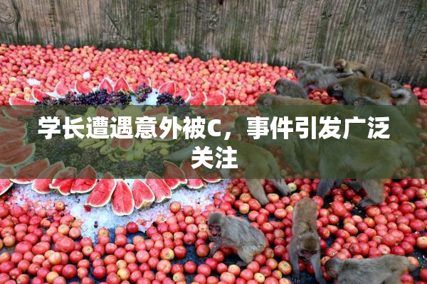 学长遭遇意外被C，事件引发广泛关注
