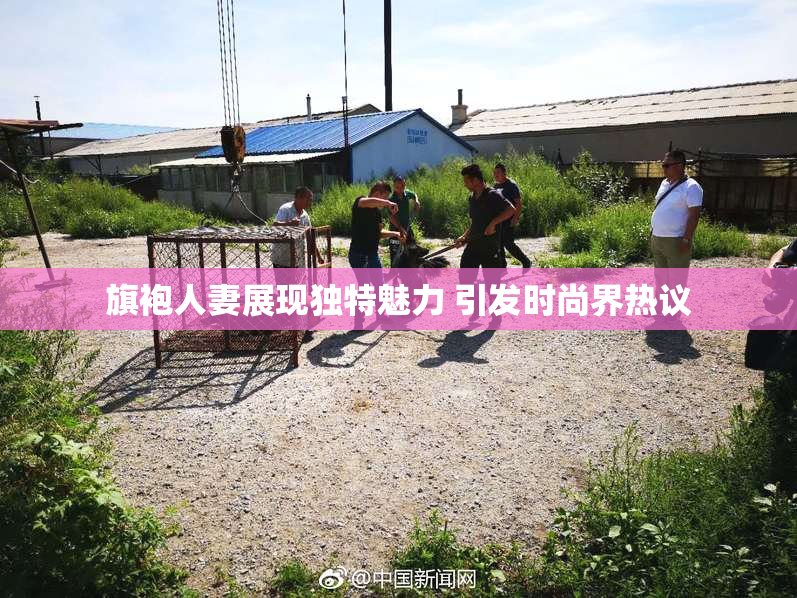 旗袍人妻展现独特魅力 引发时尚界热议
